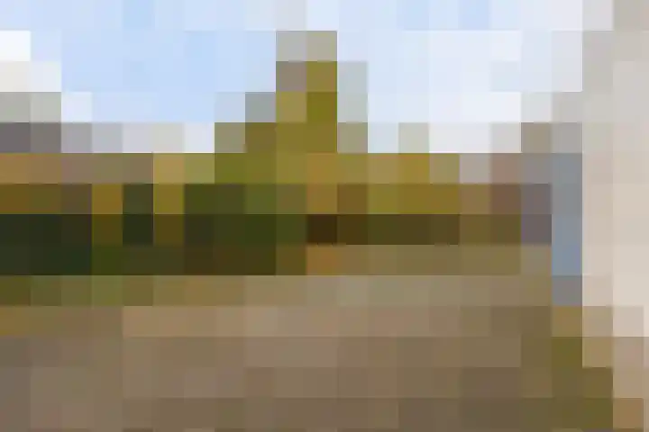 Zuiderdiep 399 Valthermond thumbnail 40
