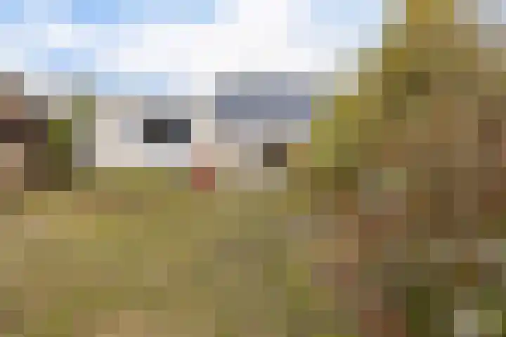Zuiderdiep 399 Valthermond thumbnail 41