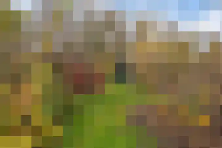 Zuiderdiep 399 Valthermond thumbnail 44