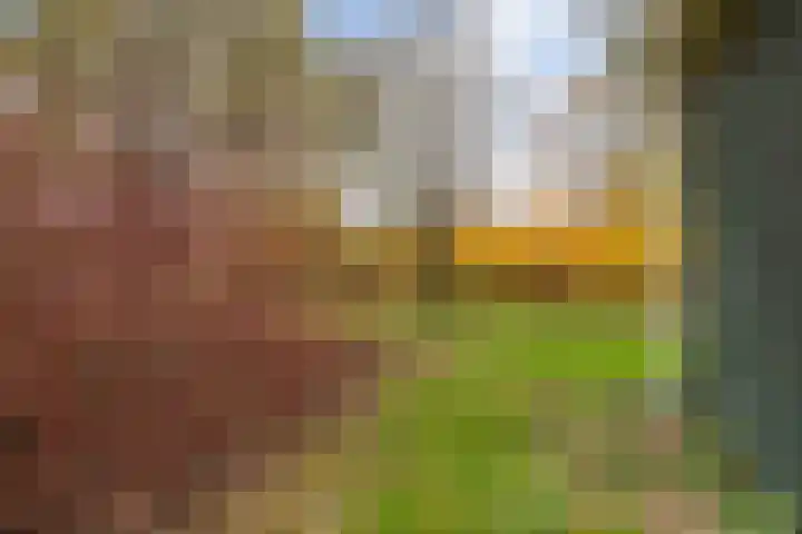 Zuiderdiep 399 Valthermond thumbnail 45