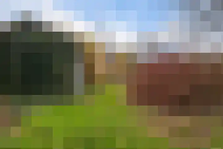 Zuiderdiep 399 Valthermond thumbnail 46