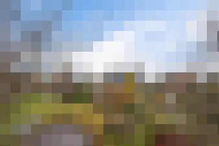 Zuiderdiep 399 Valthermond thumbnail 48
