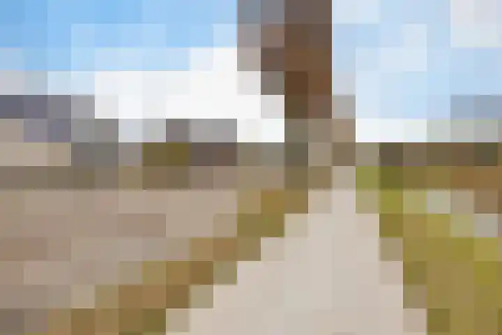 Zuiderdiep 399 Valthermond thumbnail 54