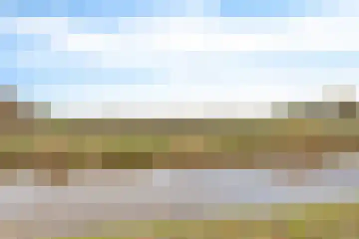 Zuiderdiep 399 Valthermond thumbnail 55