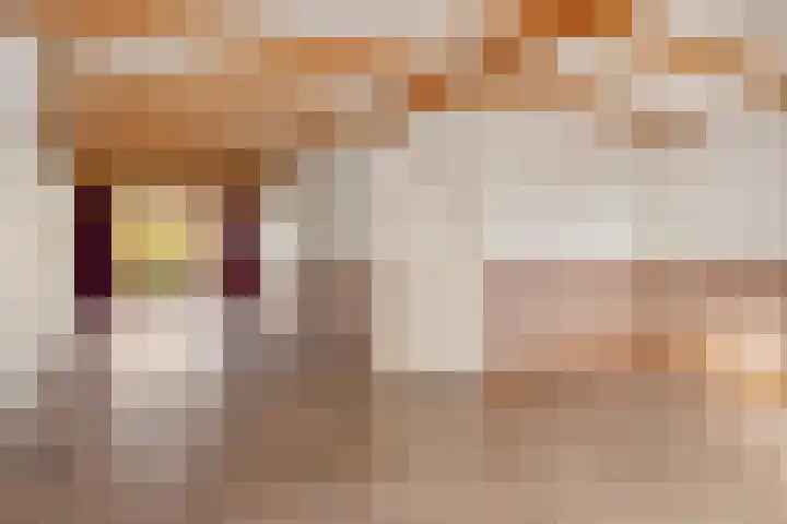 Zuiderdiep 399 Valthermond thumbnail 8