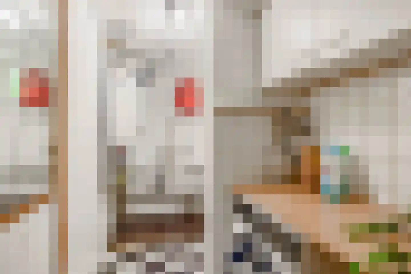 Zuiderdiep 4 Drouwenermond thumbnail 28