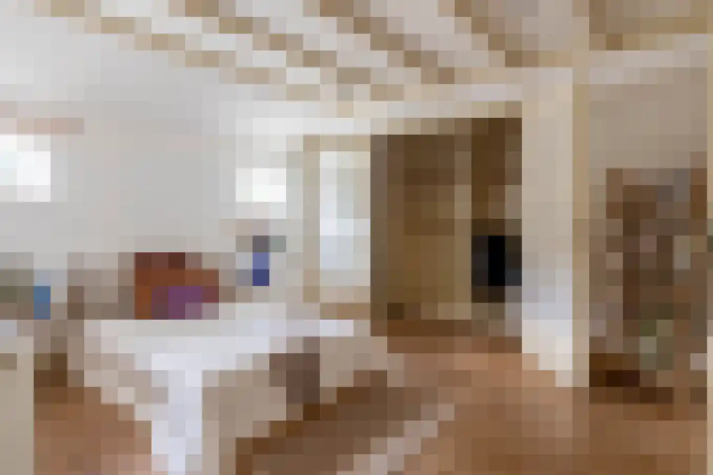 Zuiderdiep 4 Drouwenermond thumbnail 29