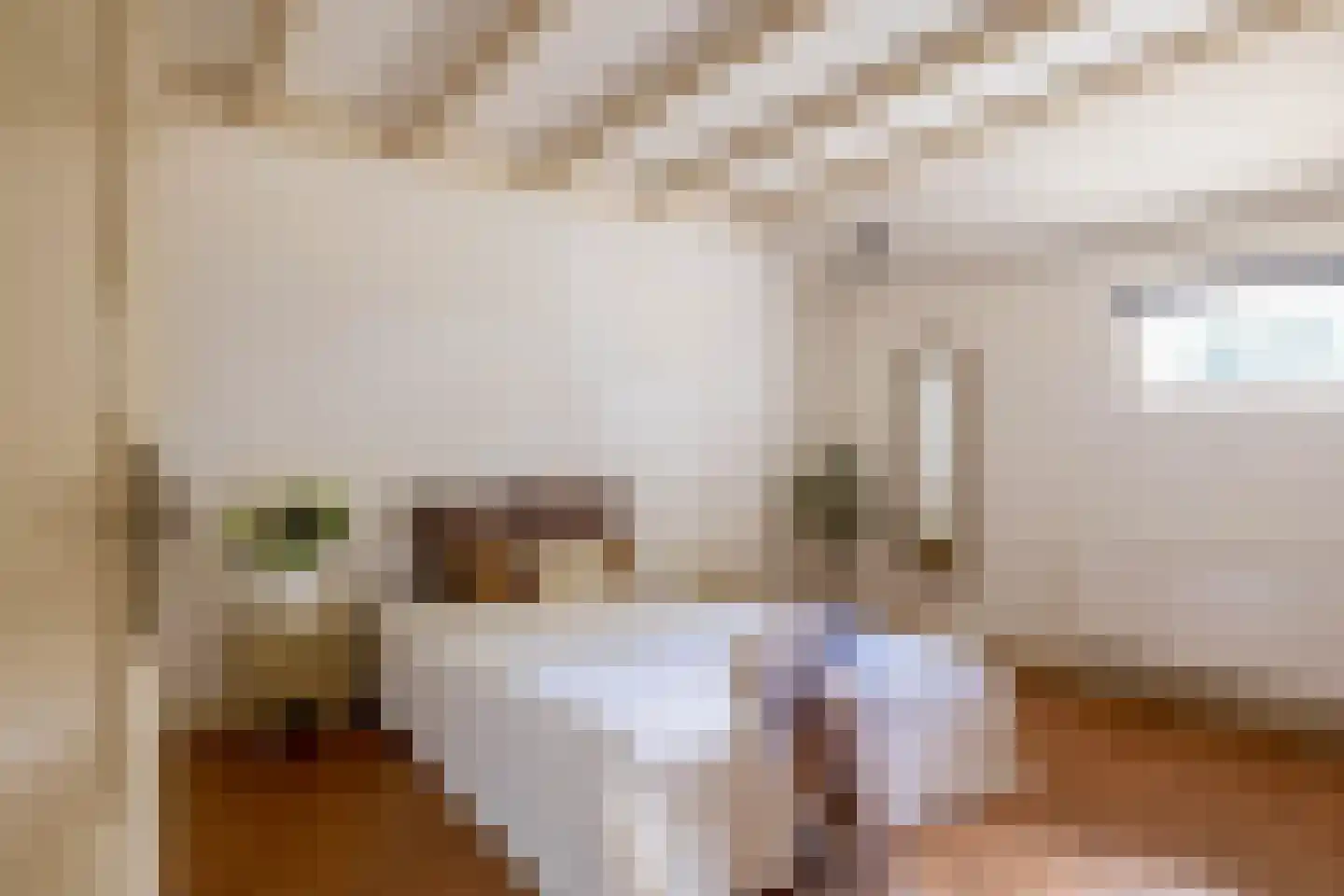 Zuiderdiep 4 Drouwenermond thumbnail 32