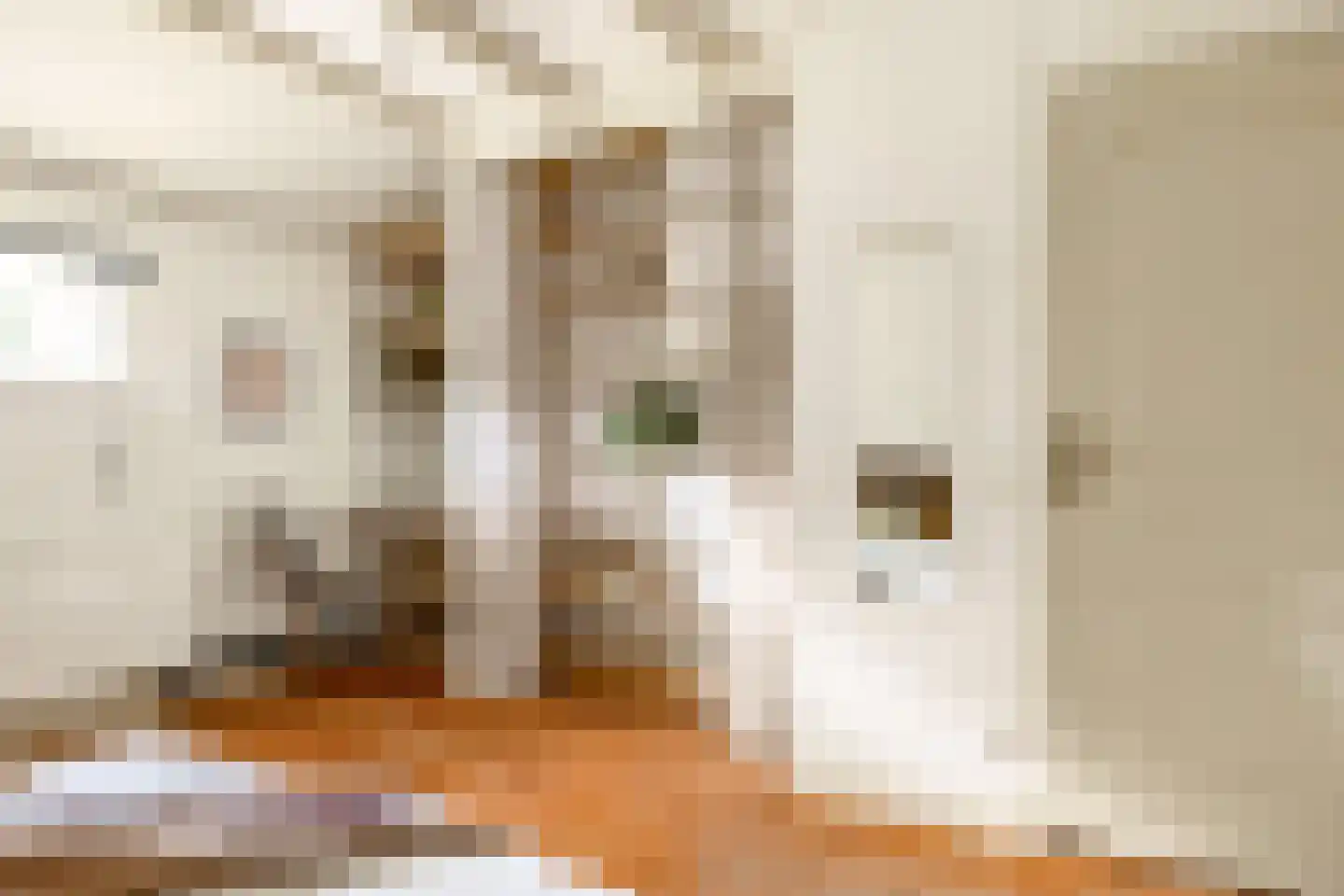 Zuiderdiep 4 Drouwenermond thumbnail 33