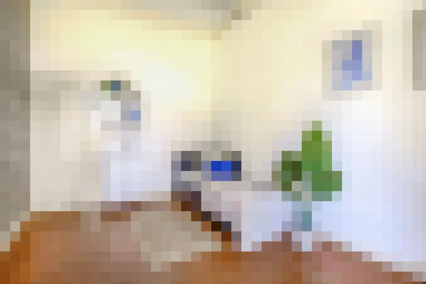 Zuiderdiep 4 Drouwenermond thumbnail 35