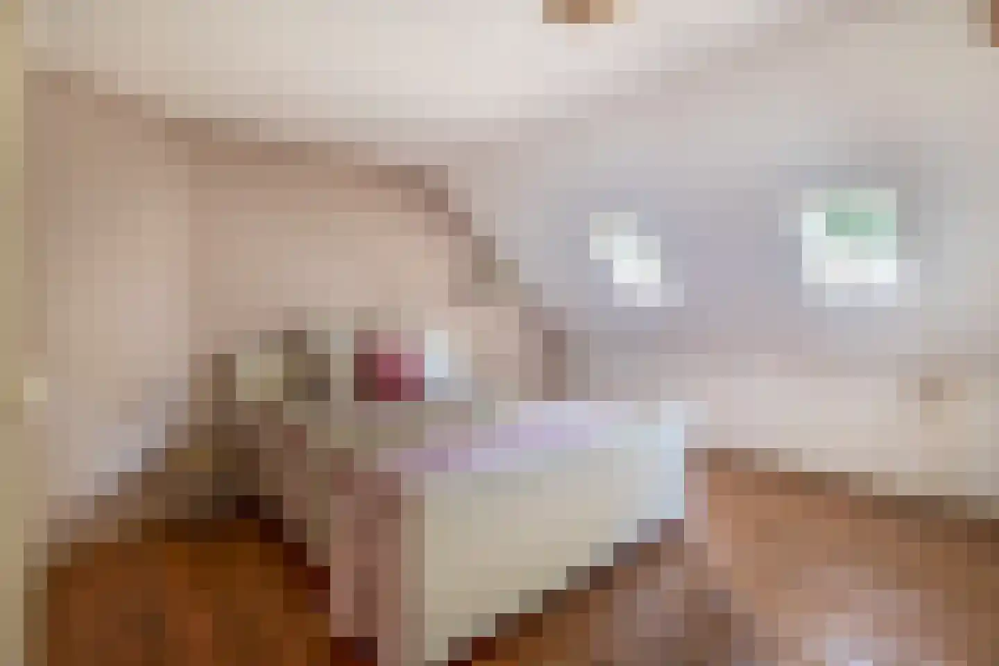 Zuiderdiep 4 Drouwenermond thumbnail 40