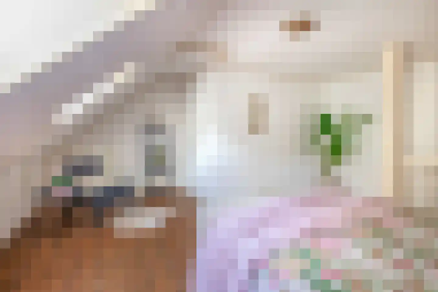 Zuiderdiep 4 Drouwenermond thumbnail 41