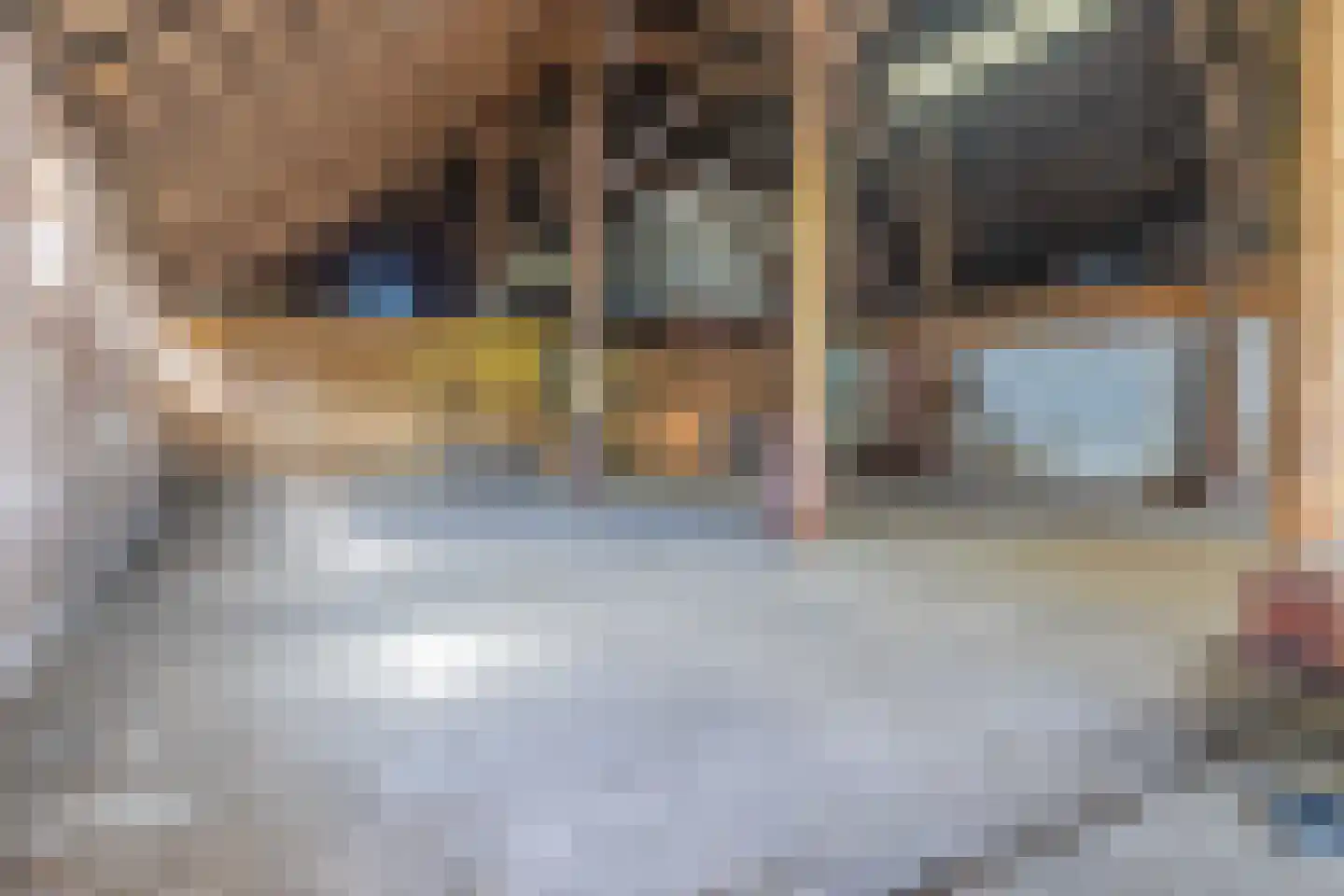 Zuiderdiep 4 Drouwenermond thumbnail 42