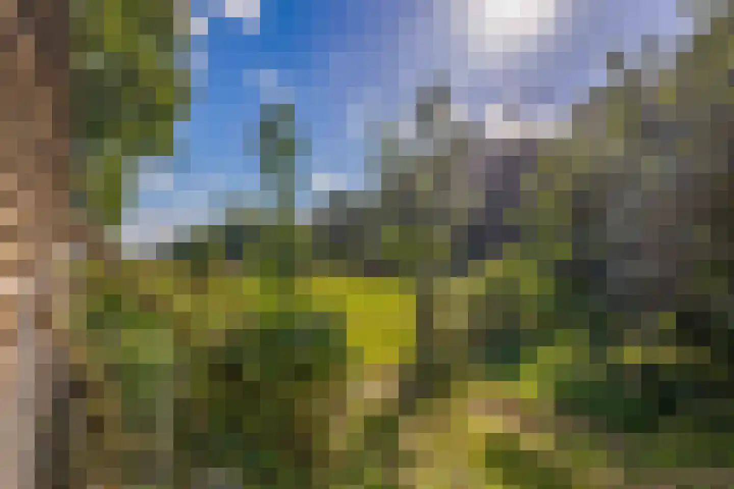 Zuiderdiep 4 Drouwenermond thumbnail 54