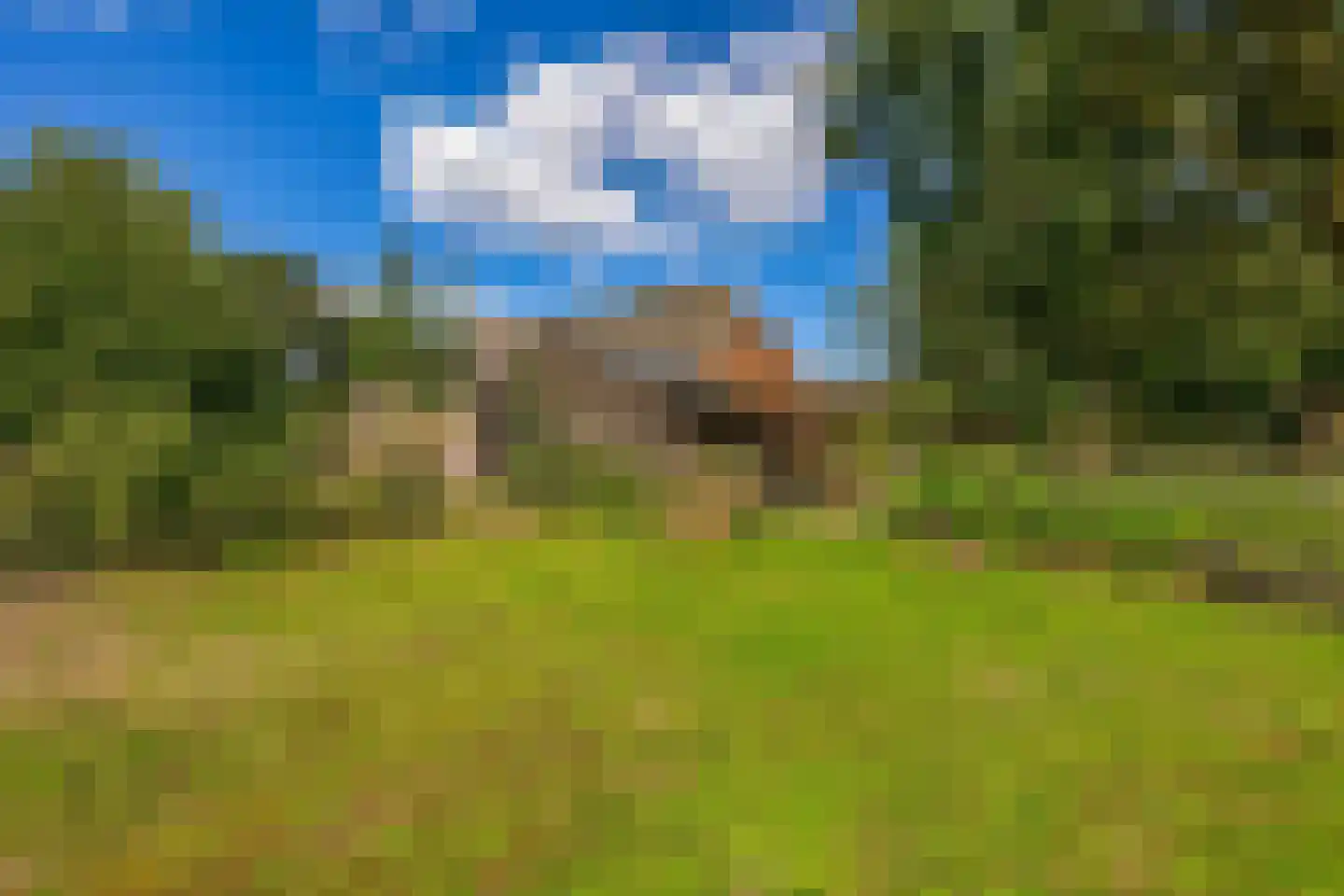 Zuiderdiep 4 Drouwenermond thumbnail 57