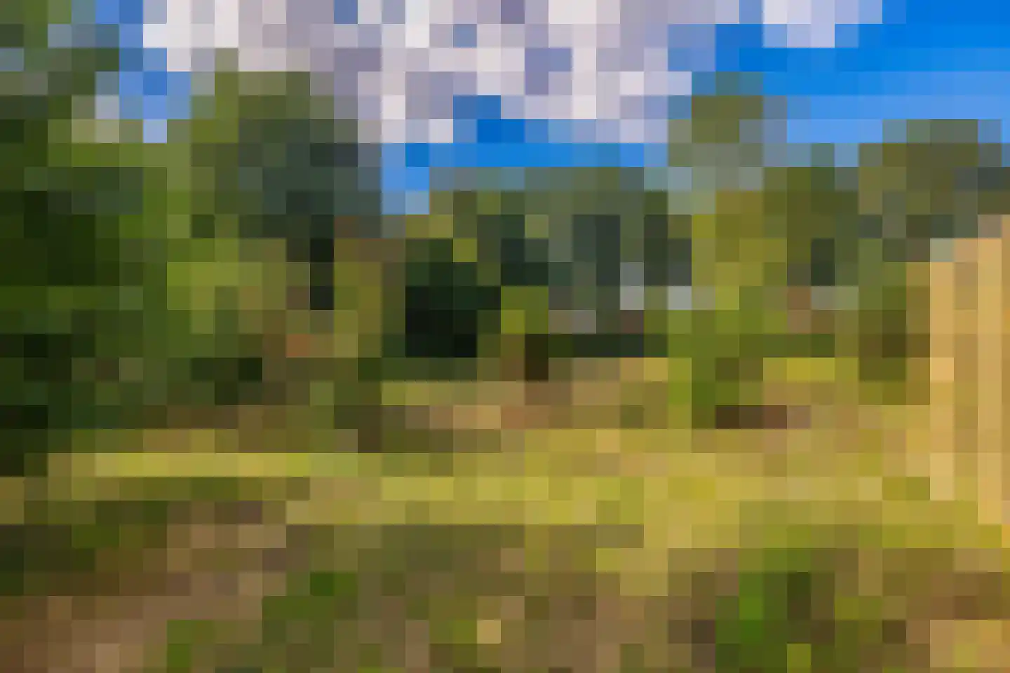 Zuiderdiep 4 Drouwenermond thumbnail 58