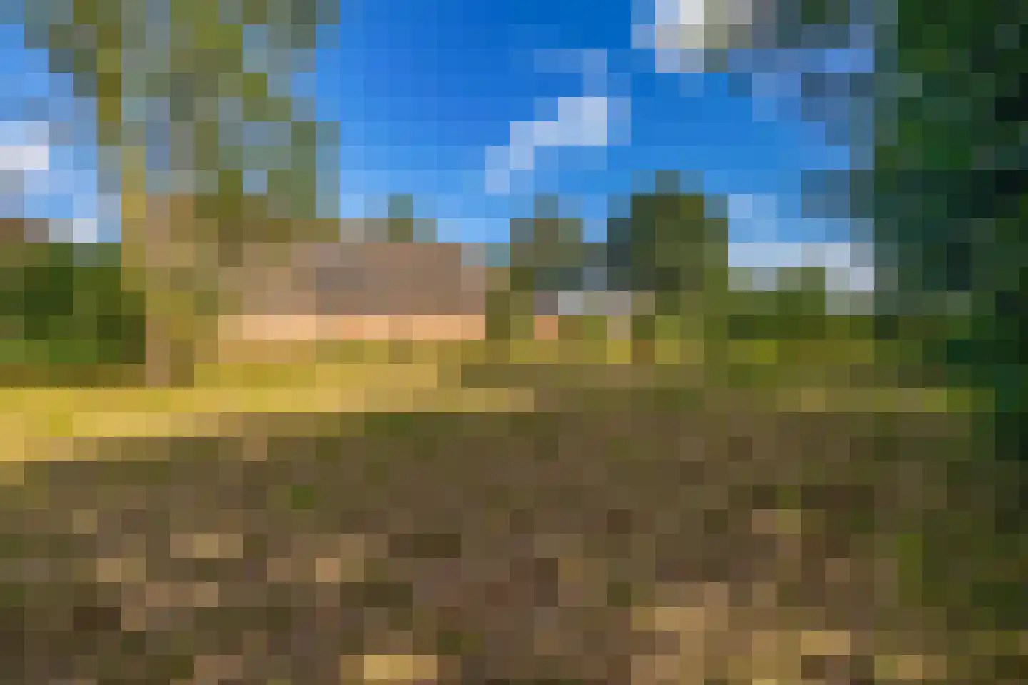 Zuiderdiep 4 Drouwenermond thumbnail 59