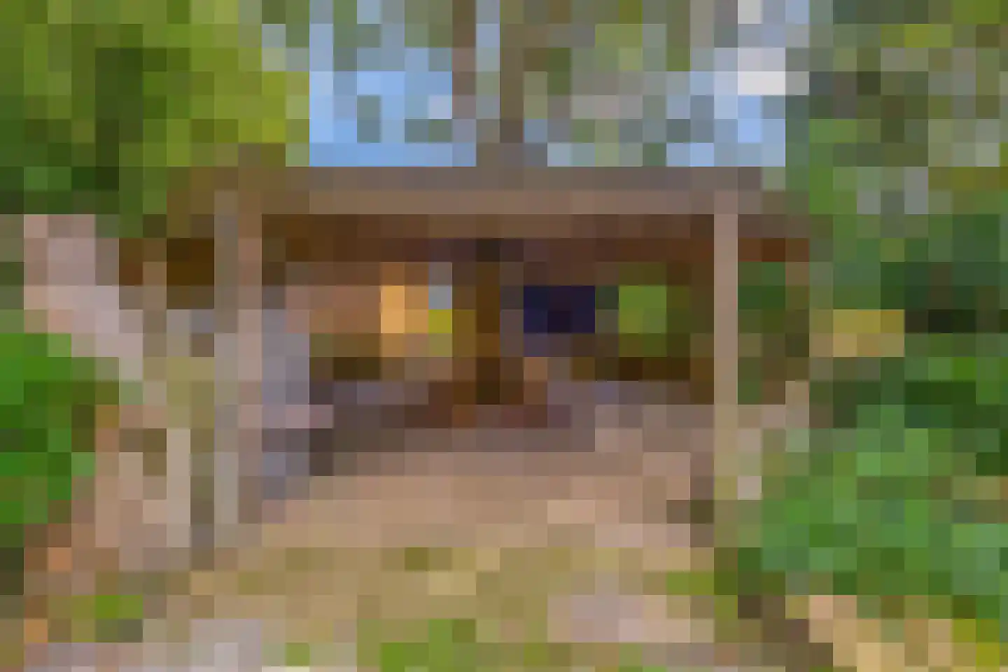 Zuiderdiep 4 Drouwenermond thumbnail 62