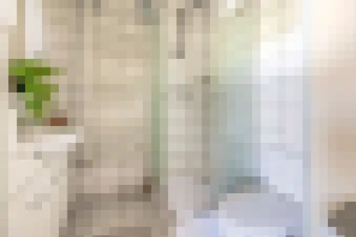Zuiderdiep 4 Drouwenermond thumbnail 72