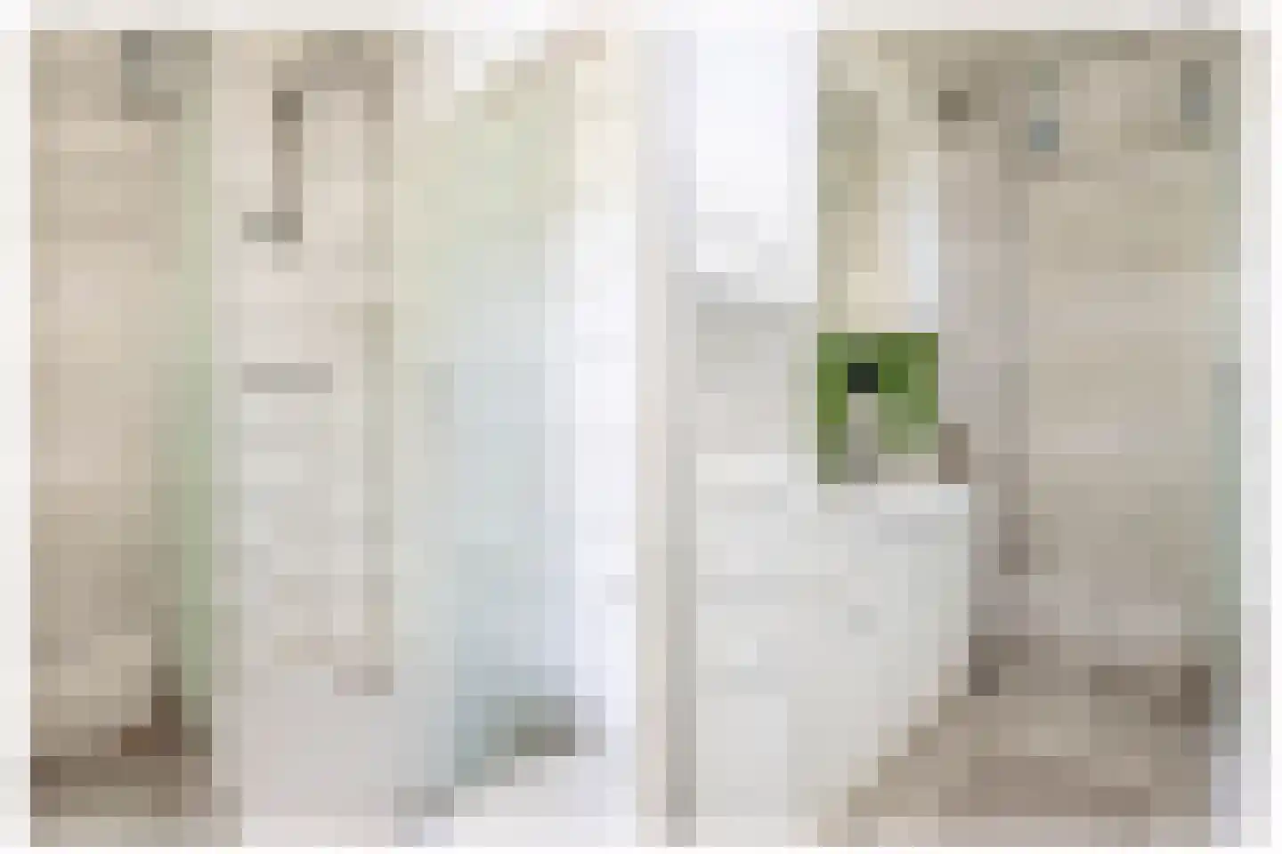 Zuiderdiep 4 Drouwenermond thumbnail 73