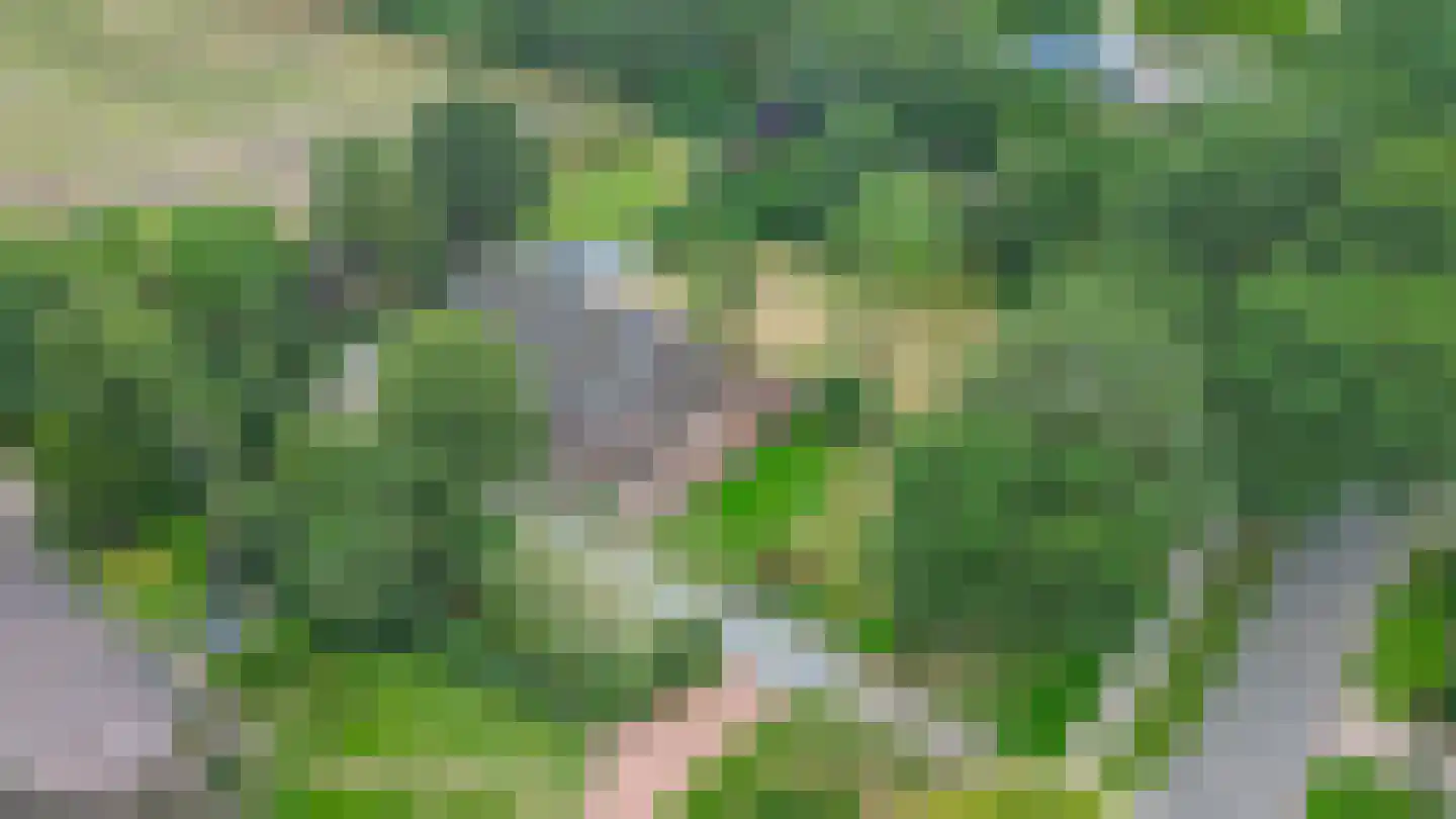 Zuiderdiep 4 Drouwenermond thumbnail 74