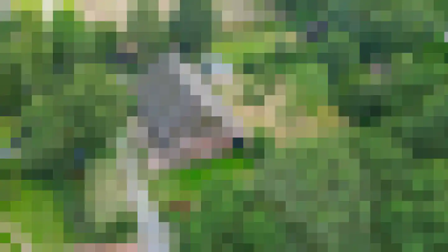 Zuiderdiep 4 Drouwenermond thumbnail 75