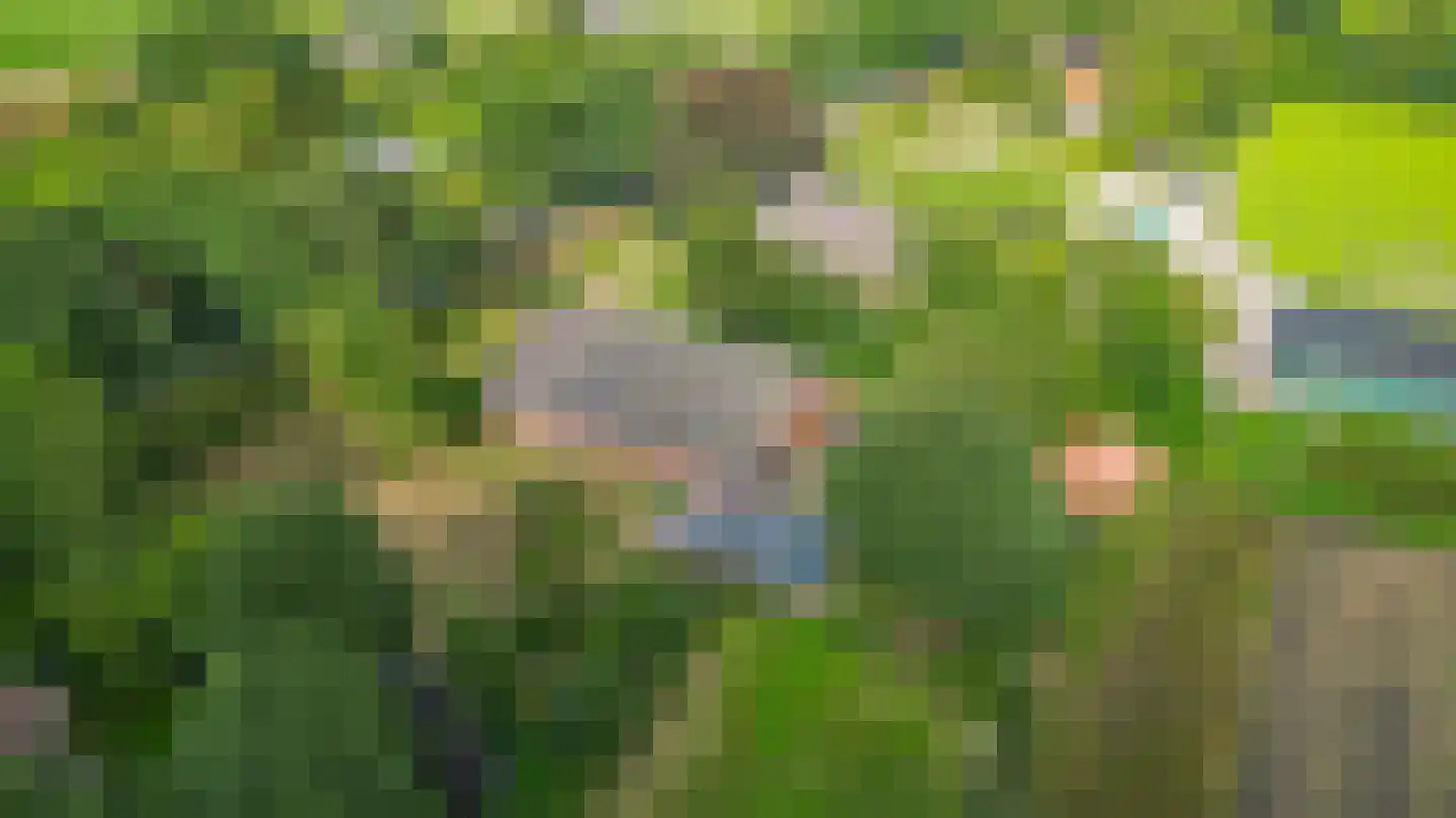Zuiderdiep 4 Drouwenermond thumbnail 76