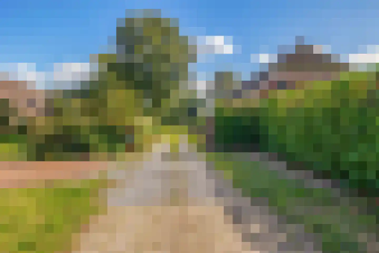 Zuiderdiep 4 Drouwenermond thumbnail 8