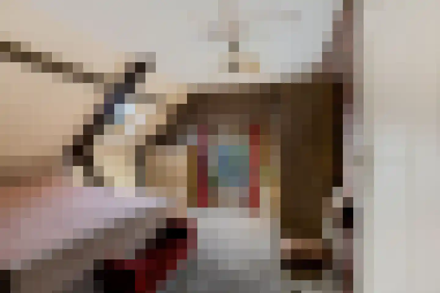Zuiderdiep 412 Valthermond thumbnail 23