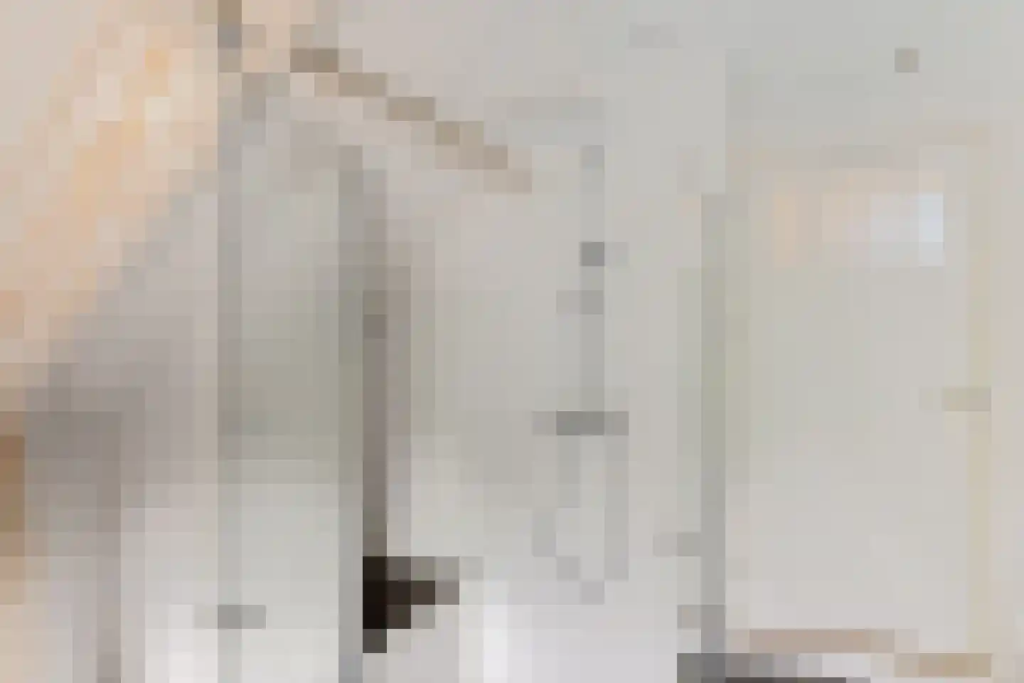 Zuiderdiep 412 Valthermond thumbnail 27
