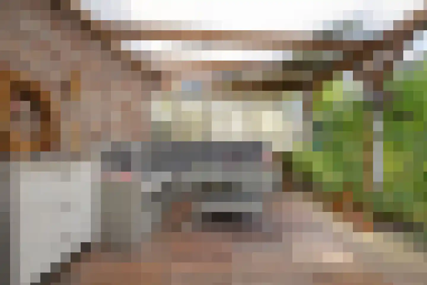 Zuiderdiep 412 Valthermond thumbnail 35