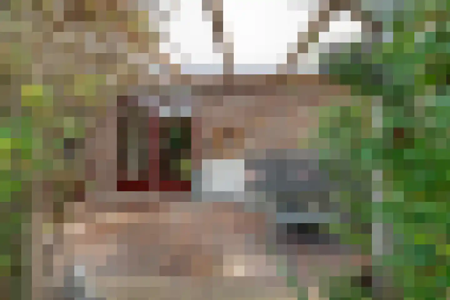 Zuiderdiep 412 Valthermond thumbnail 37