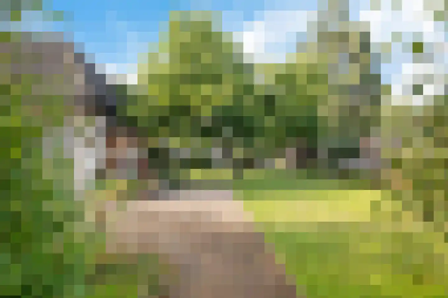 Zuiderdiep 412 Valthermond thumbnail 38