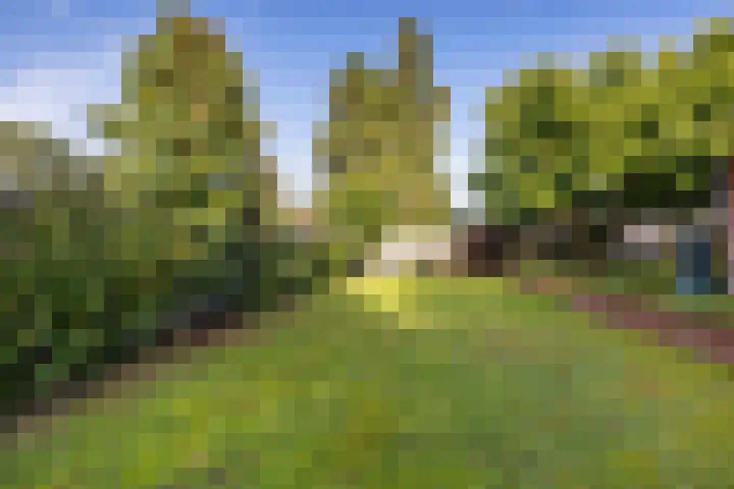 Zuiderdiep 412 Valthermond thumbnail 39