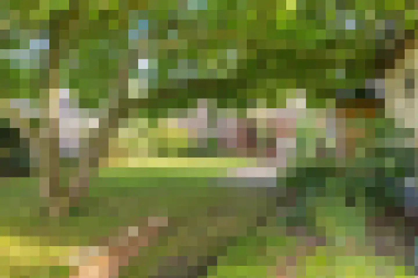 Zuiderdiep 412 Valthermond thumbnail 40