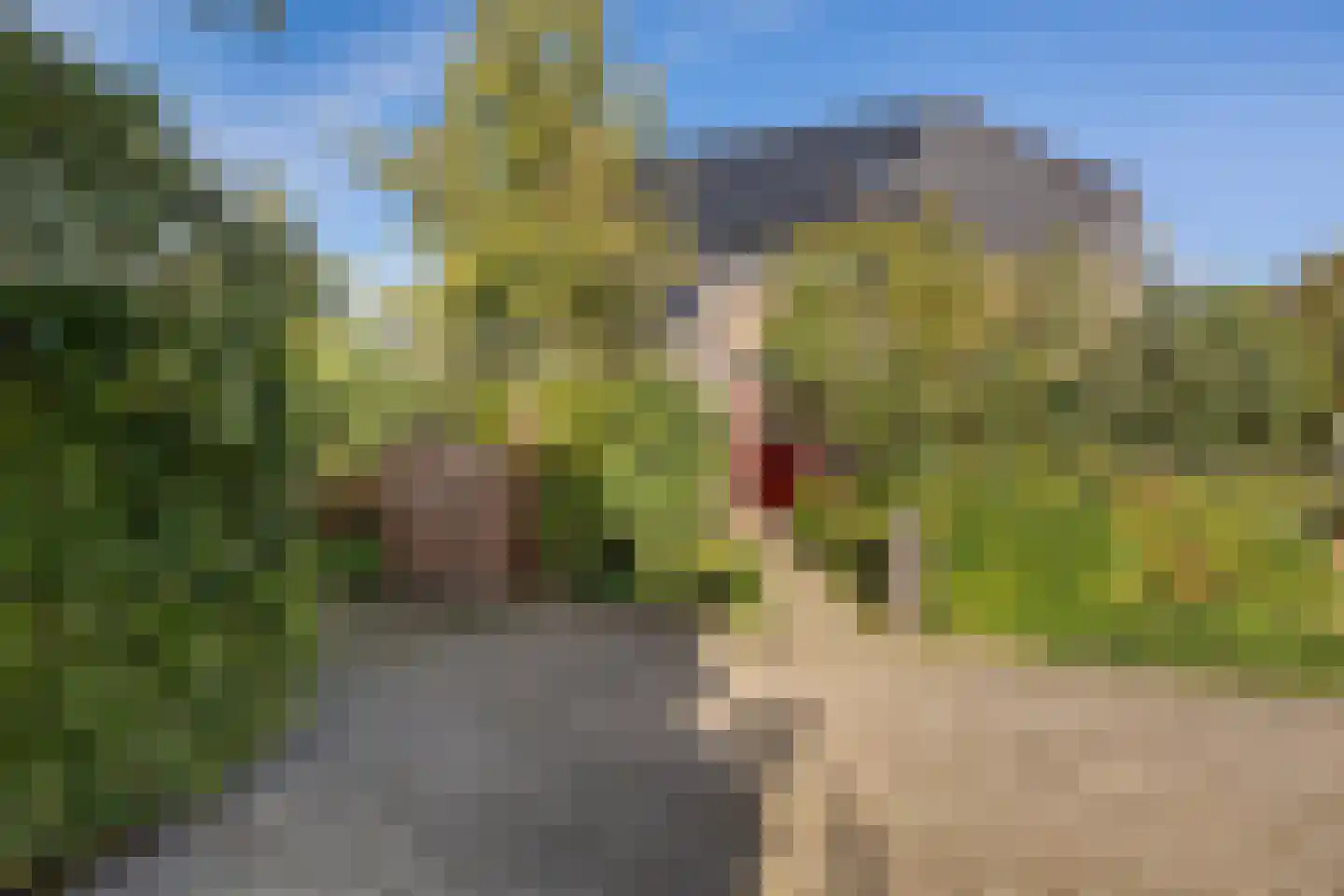 Zuiderdiep 412 Valthermond thumbnail 45