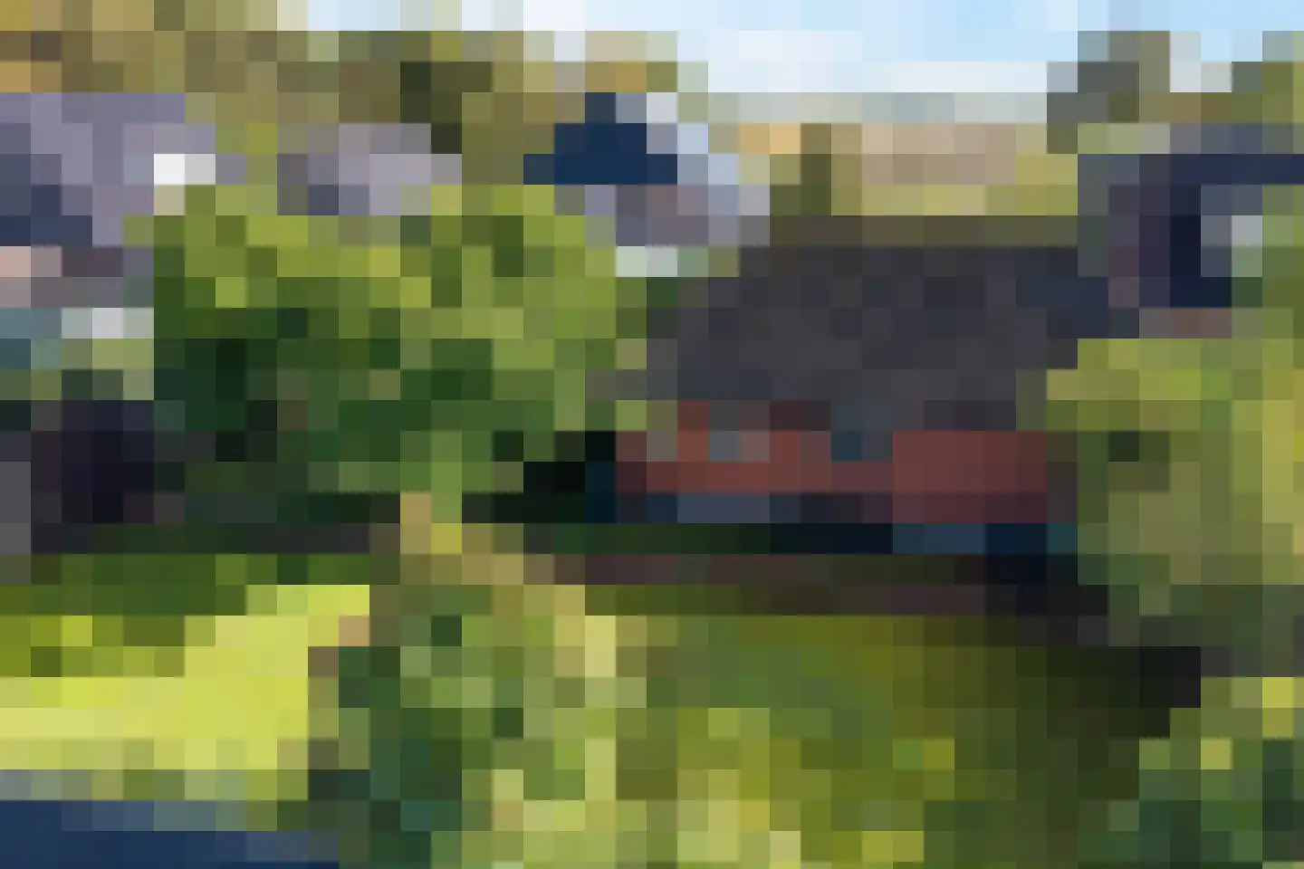 Zuiderdiep 412 Valthermond thumbnail 6