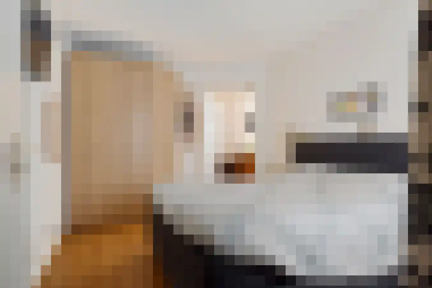 Zuiderdiep 419 2e Exloërmond thumbnail 24