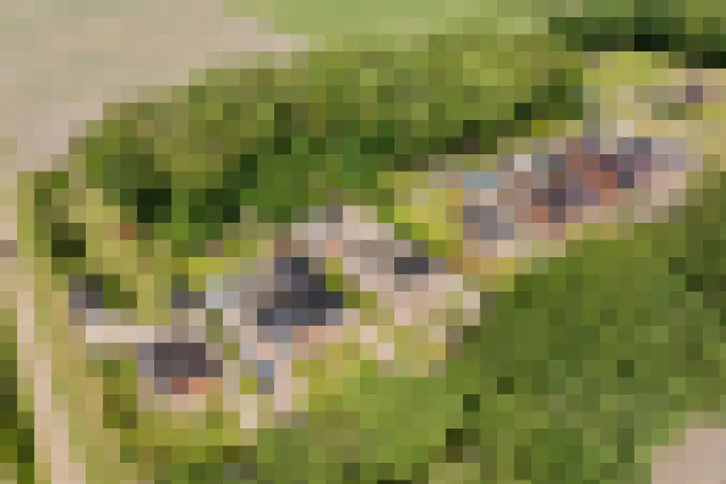 Zuiderdiep 419 2e Exloërmond thumbnail 42