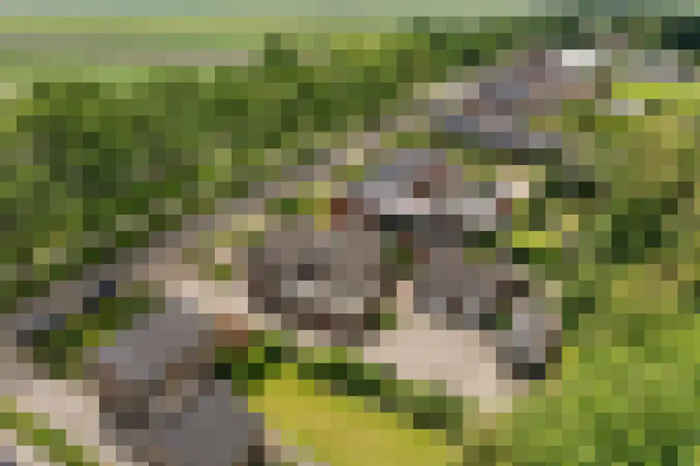 Zuiderdiep 419 2e Exloërmond thumbnail 43