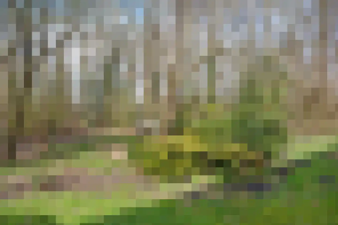 Zuiderdiep 419 2e Exloërmond thumbnail 47
