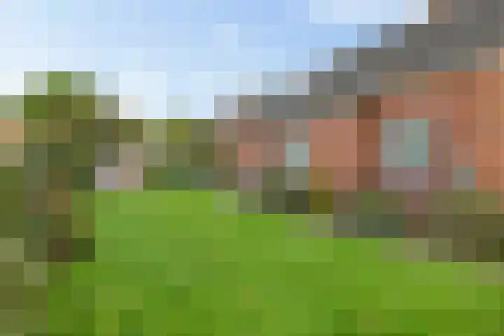 Zuiderdiep 419 Nieuw-Buinen thumbnail 35