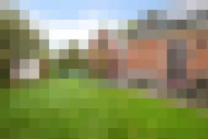 Zuiderdiep 419 Nieuw-Buinen thumbnail 36