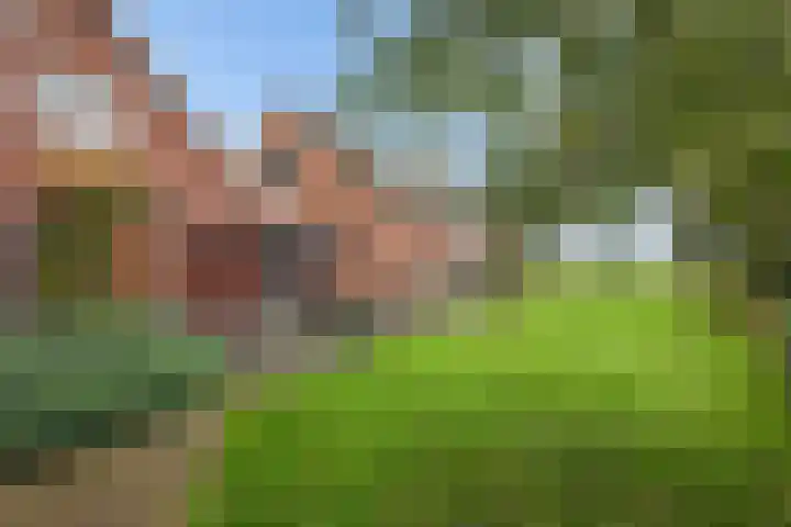 Zuiderdiep 419 Nieuw-Buinen thumbnail 37