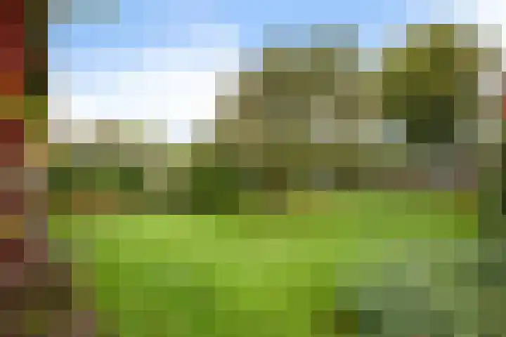 Zuiderdiep 419 Nieuw-Buinen thumbnail 38