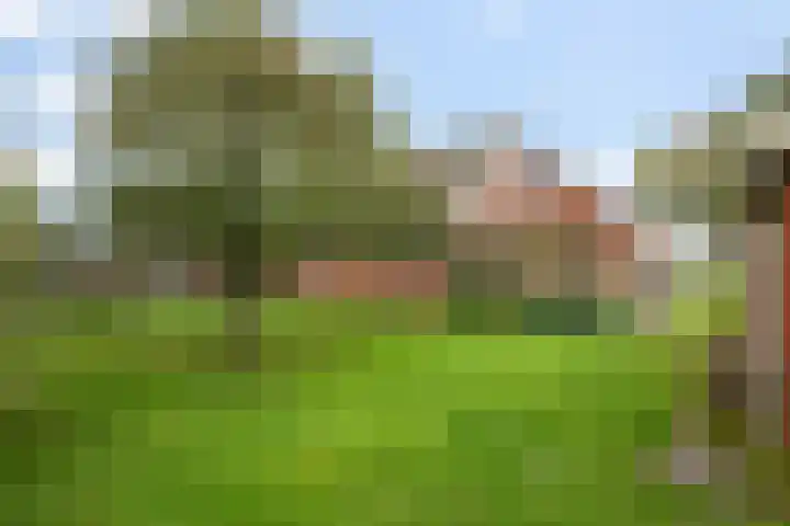 Zuiderdiep 419 Nieuw-Buinen thumbnail 39