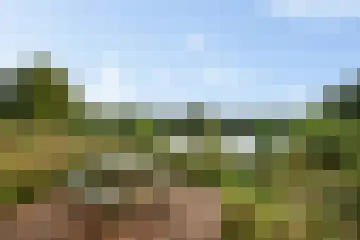 Zuiderdiep 419 Nieuw-Buinen thumbnail 4