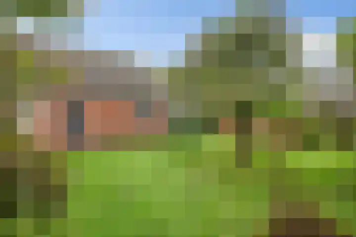 Zuiderdiep 419 Nieuw-Buinen thumbnail 40