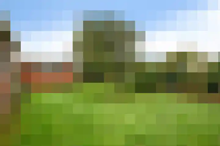 Zuiderdiep 419 Nieuw-Buinen thumbnail 41