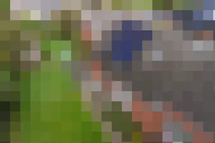 Zuiderdiep 419 Nieuw-Buinen thumbnail 42
